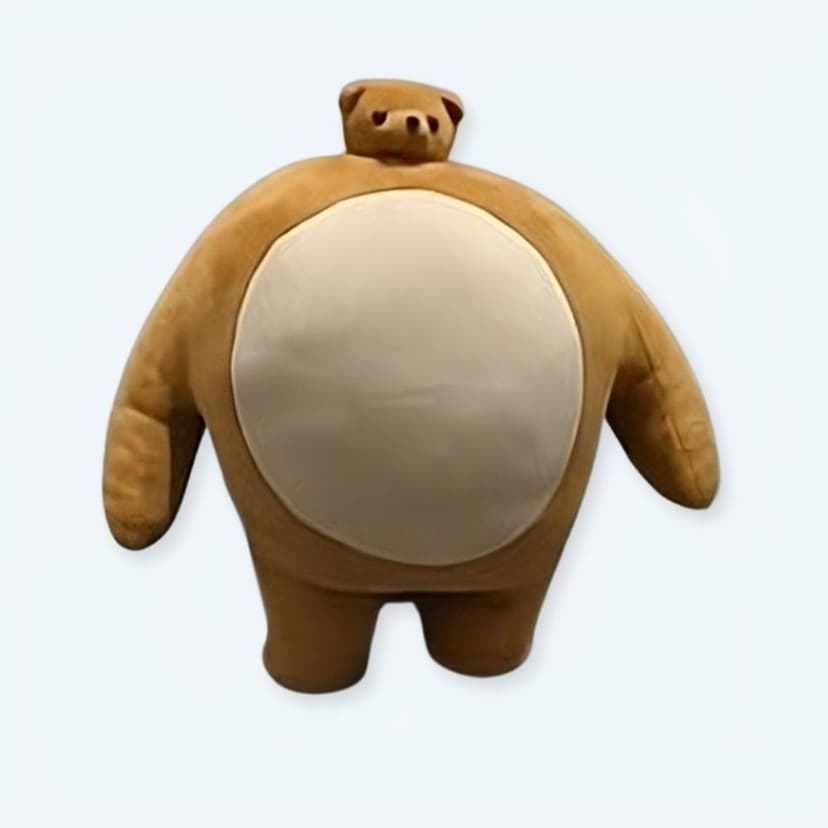 Teddy Bear Cushion