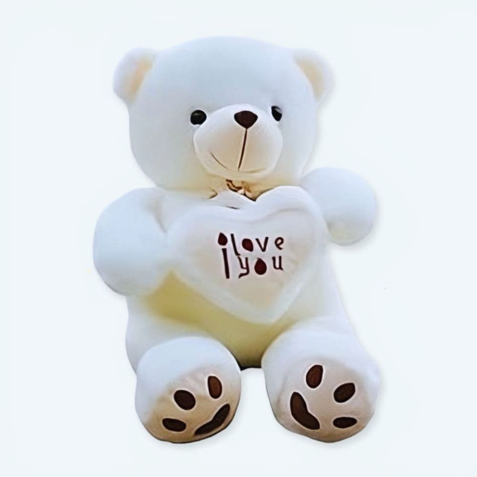 Fluffy Teddy Bear