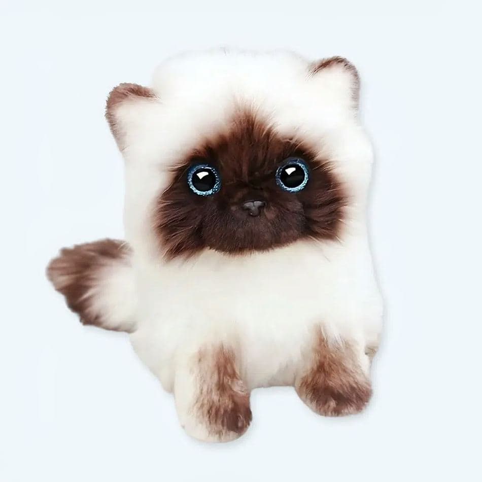 Siamese Kitten Plush