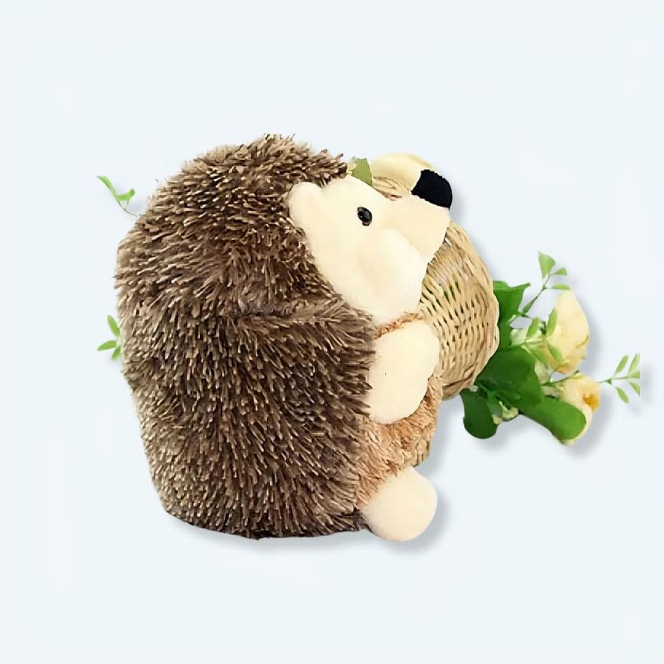 Stuffed animals for kids, soft plushies, bedroom decor. Cute hedgehog toys. Urban setting, gift ideas, cuddly companions.