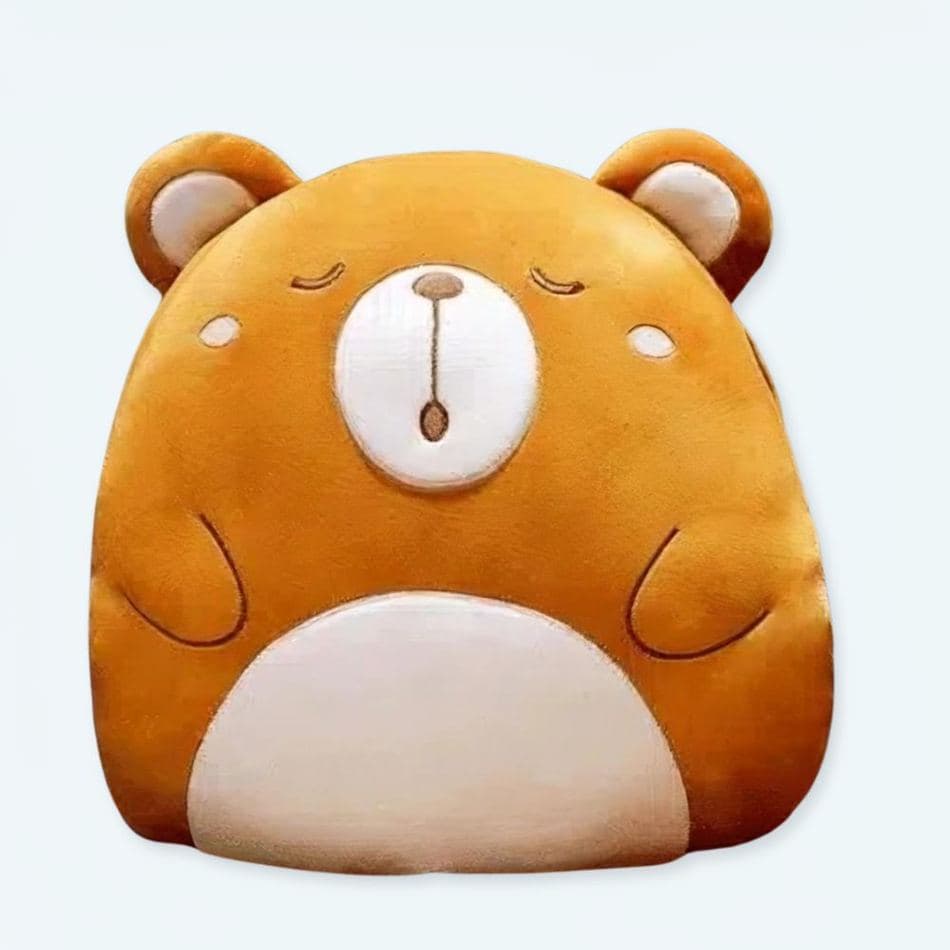 Teddy Bear Pillow