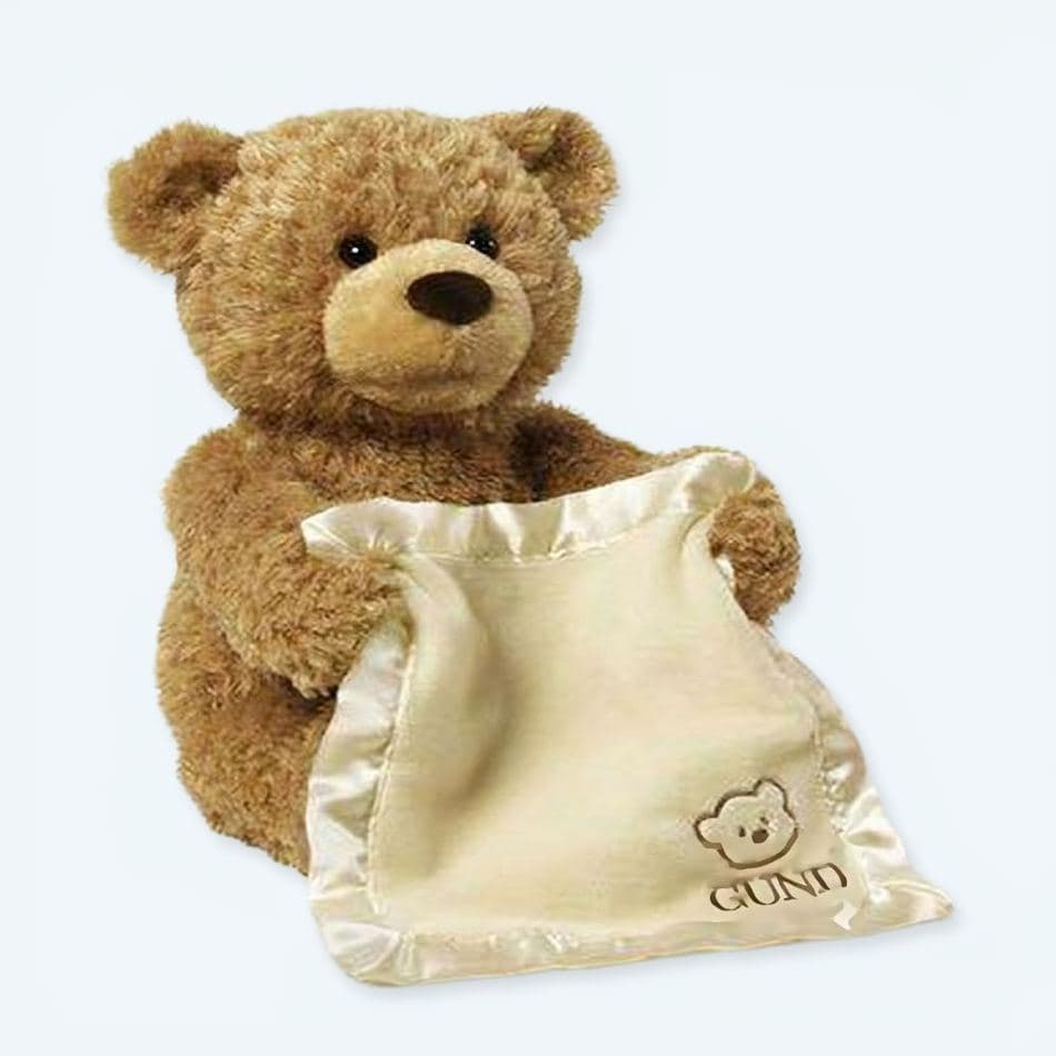 Interactive Teddy Bear