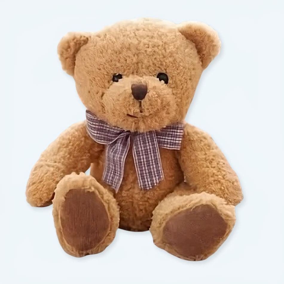 Soft Plush Bear