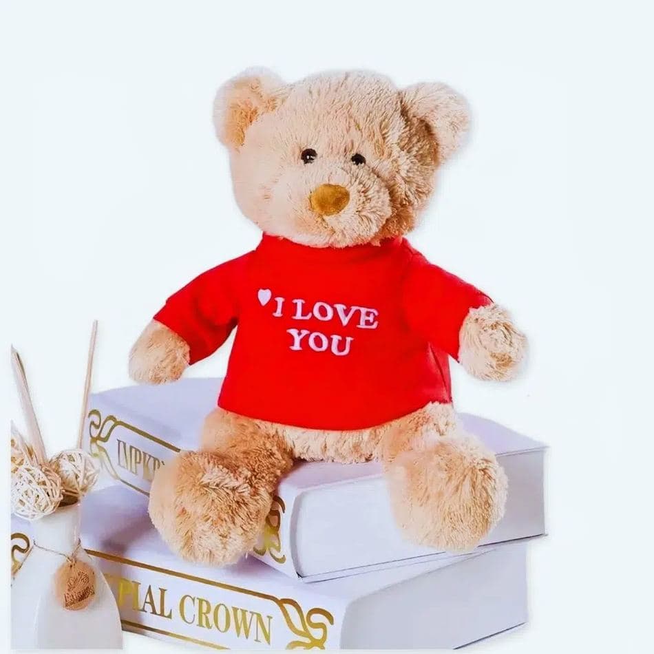 "I Love You Teddy Bear Plush"