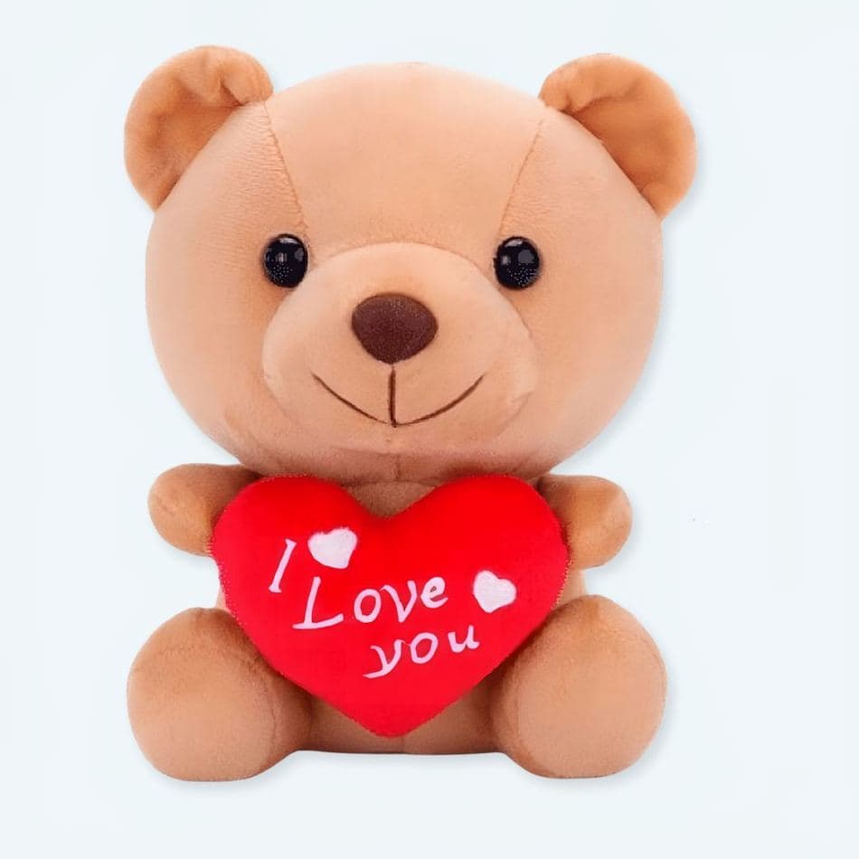 Kawaii Teddy Bear "I Love You" Plush