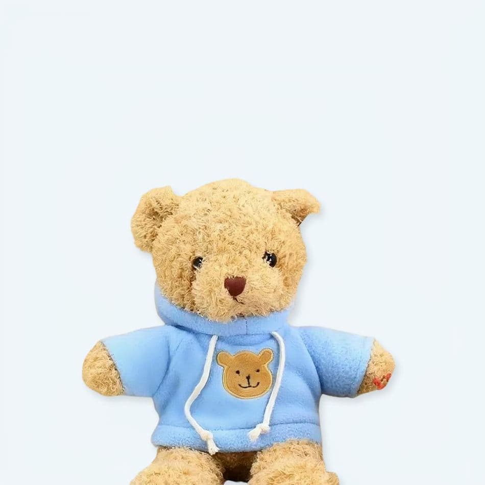 Blue Sweater Teddy Bear