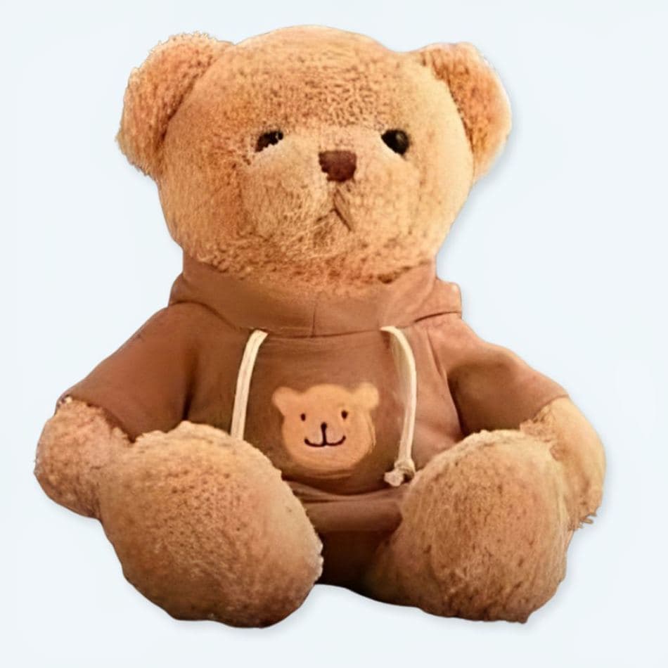 Brown Bear Plush Toy