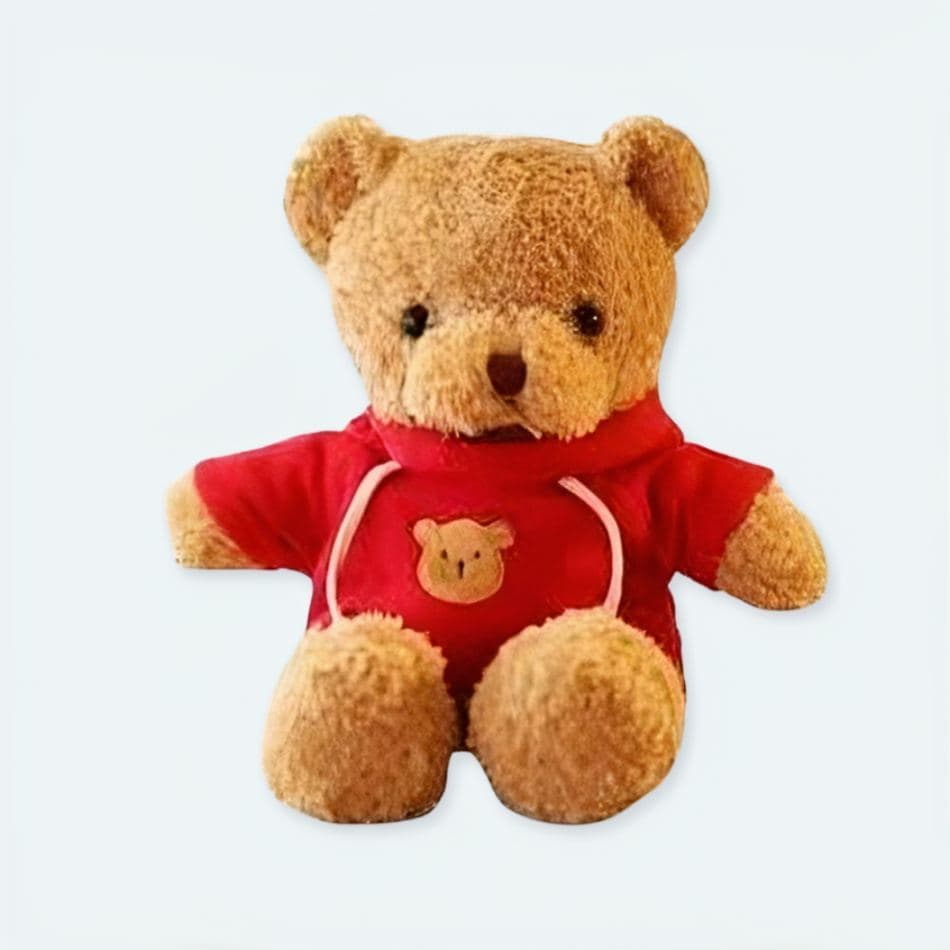 Red Sweater Teddy Bear