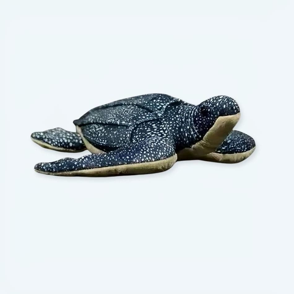 Sea Turtle Plush Toy